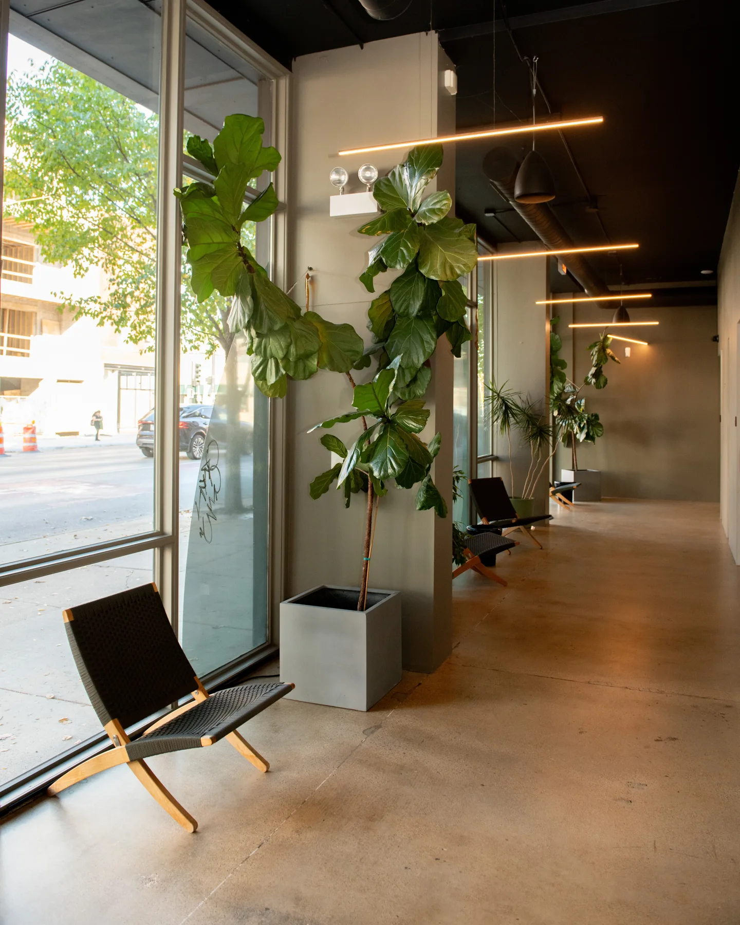 Bright plant-lined lobby leading to the salon